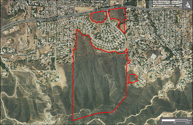 Aerial view of Ventu Park shows zig zagging trail through thick vegetation
