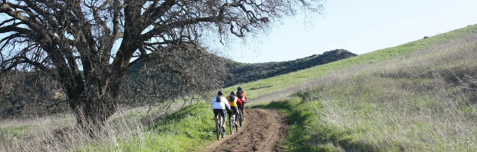 Family of mountain bikers riding up a gentle path on hillside